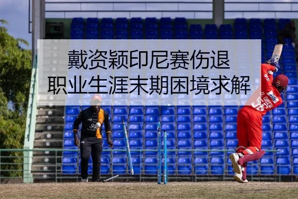 dai-zi-ying-yin-ni-sai-shang-tui-zhi-ye-sheng-ya-mo-qi-kun-jing-qiu-jie-2-319.jpg
